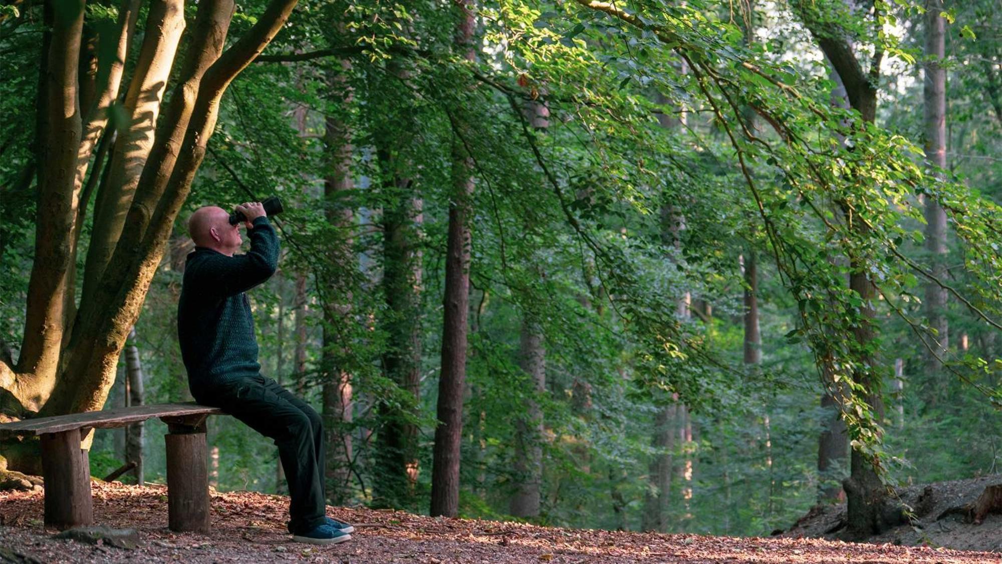 Molecaten Park De Leemkule Hattem Kültér fotó