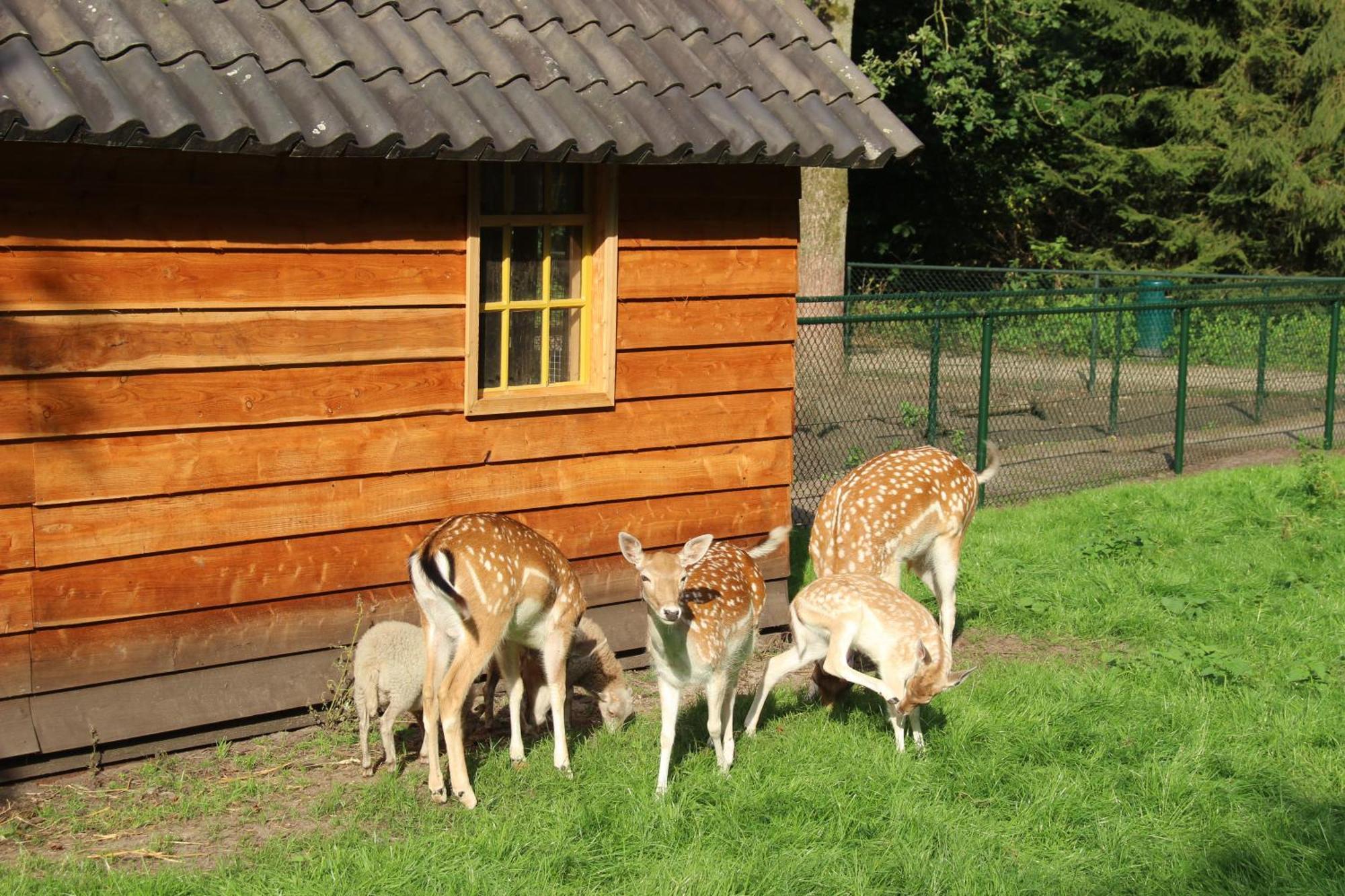 Molecaten Park De Leemkule Hattem Kültér fotó