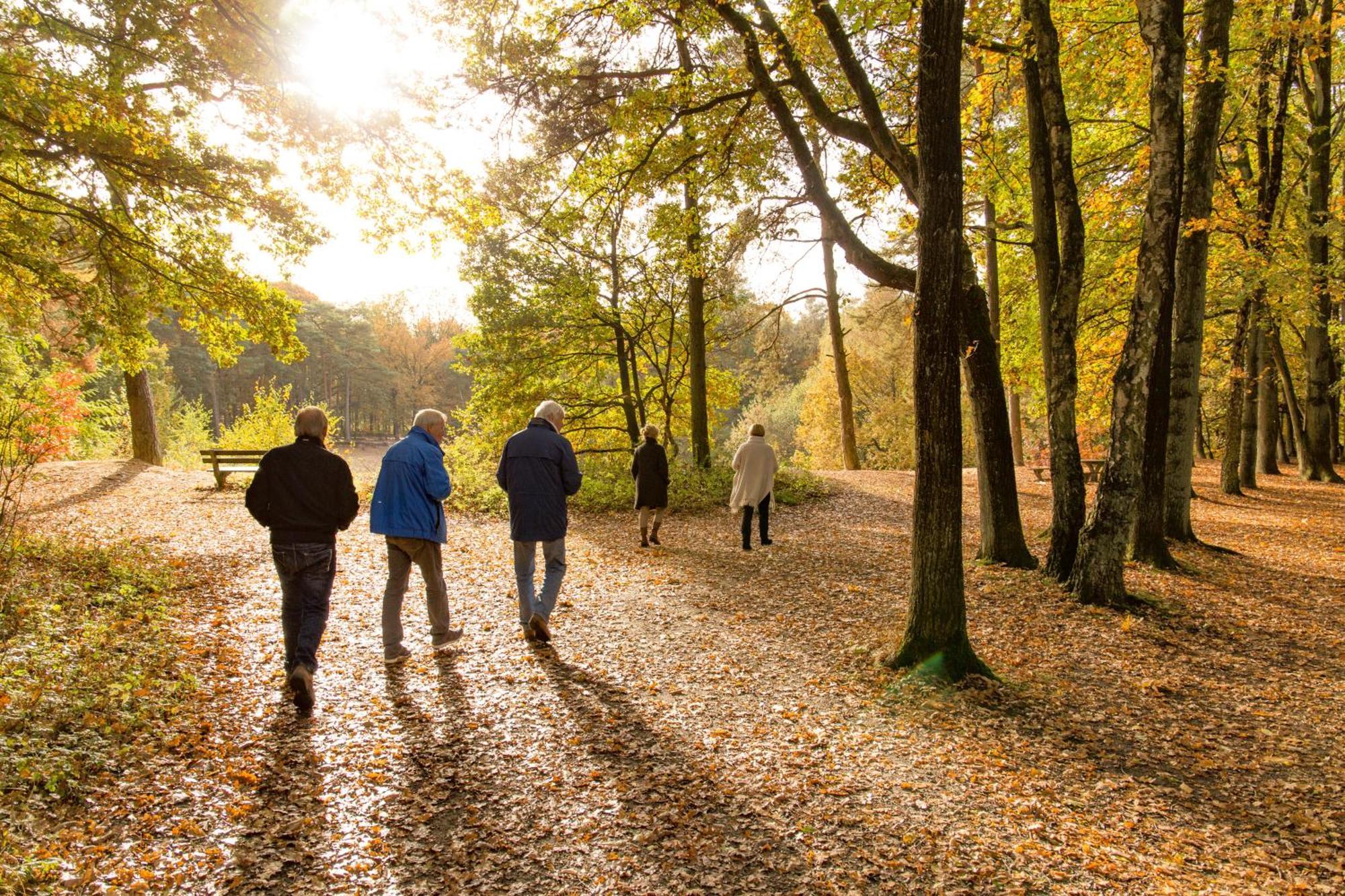 Molecaten Park De Leemkule Hattem Kültér fotó