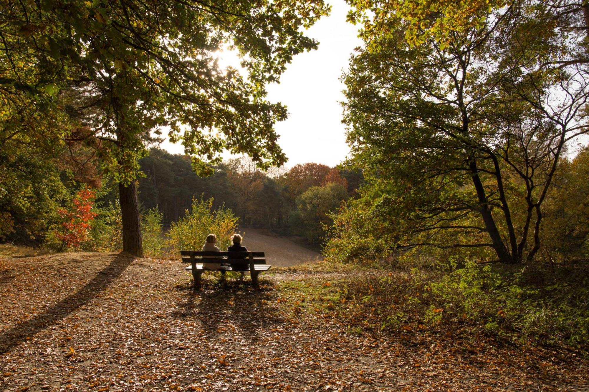 Molecaten Park De Leemkule Hattem Kültér fotó