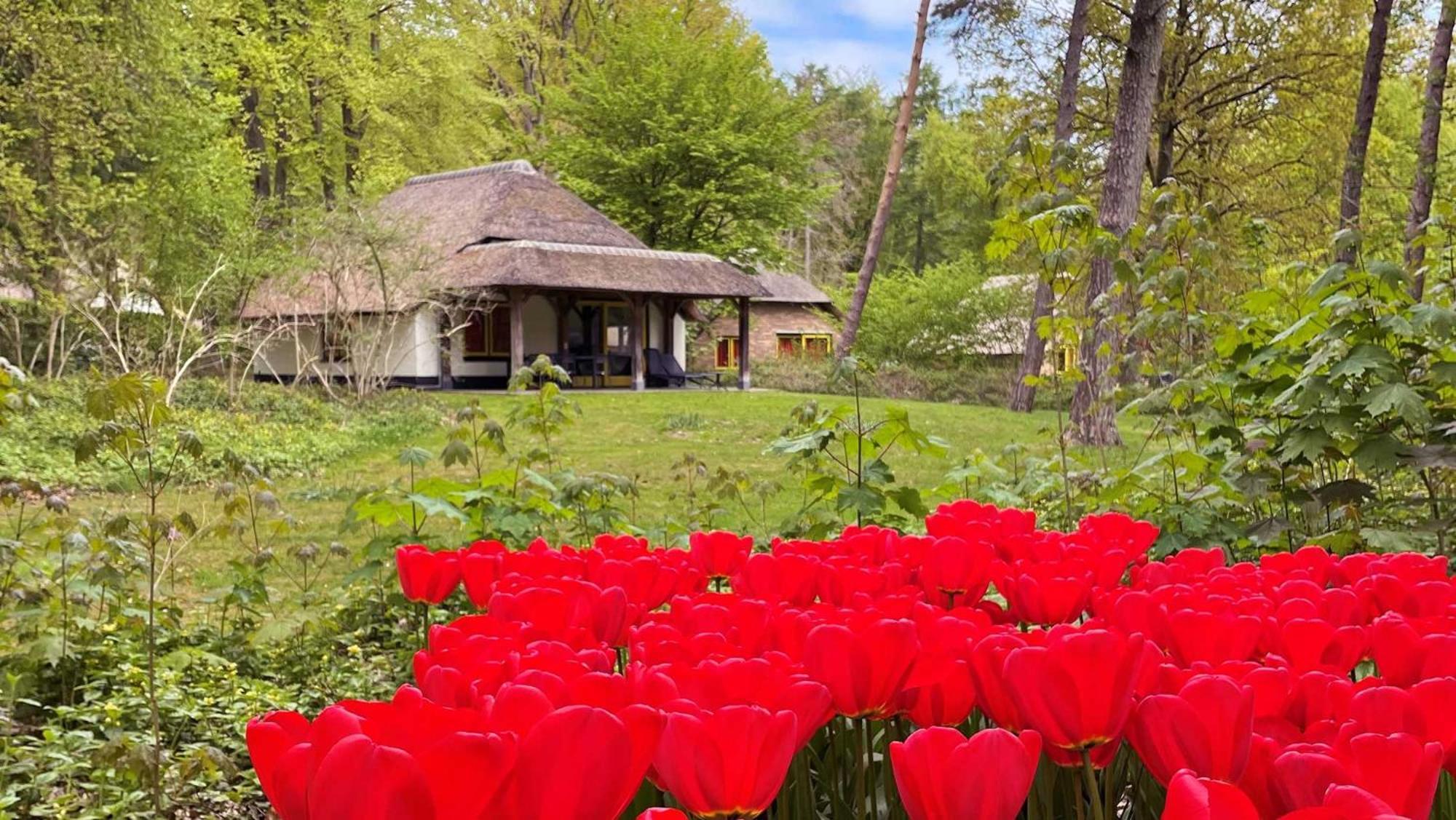 Molecaten Park De Leemkule Hattem Szoba fotó