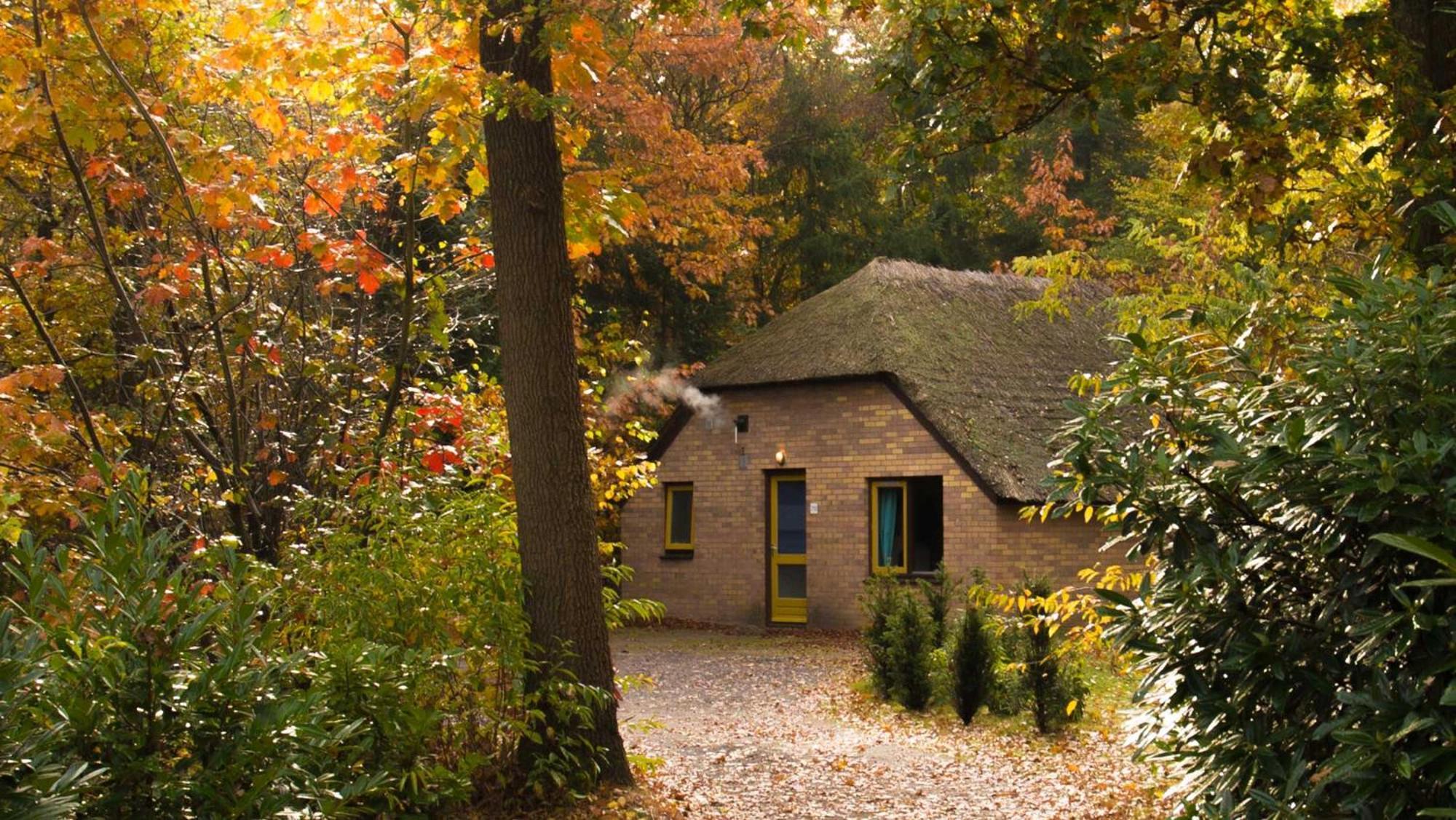 Molecaten Park De Leemkule Hattem Szoba fotó
