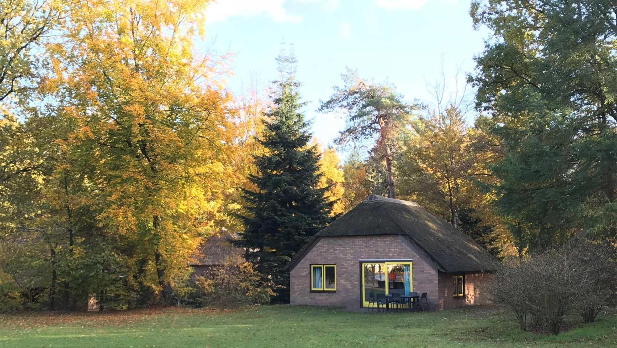 Molecaten Park De Leemkule Hattem Szoba fotó
