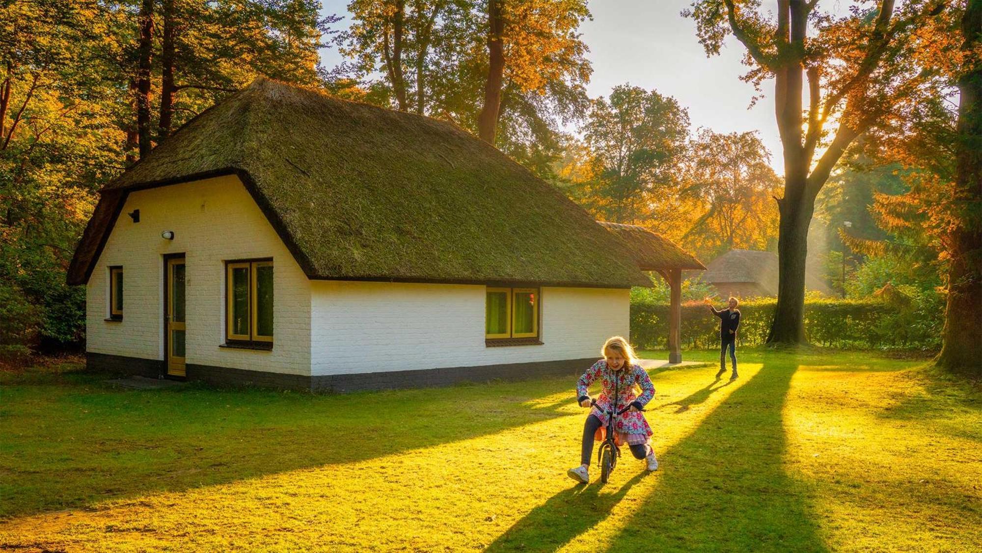 Molecaten Park De Leemkule Hattem Szoba fotó