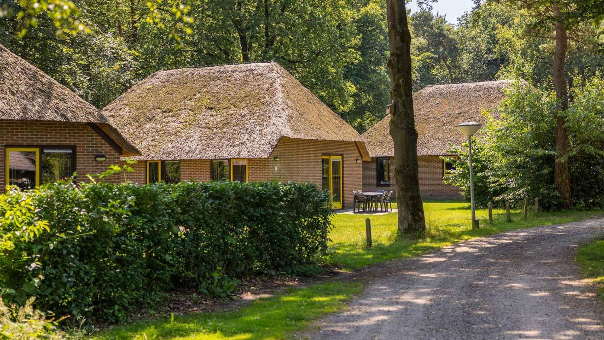 Molecaten Park De Leemkule Hattem Kültér fotó