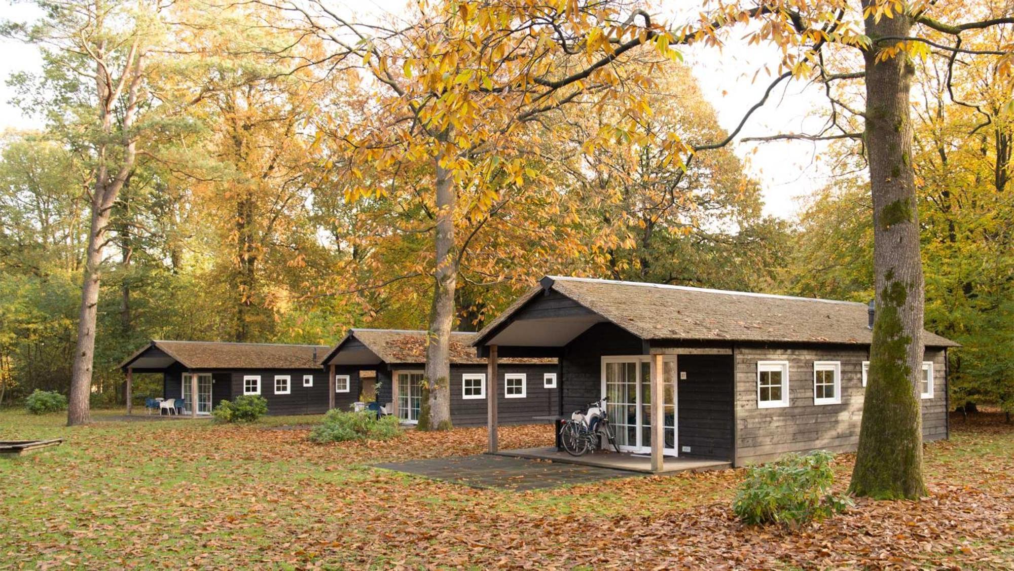 Molecaten Park De Leemkule Hattem Szoba fotó