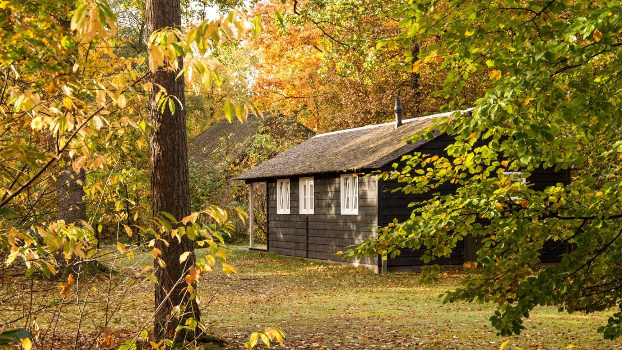 Molecaten Park De Leemkule Hattem Szoba fotó