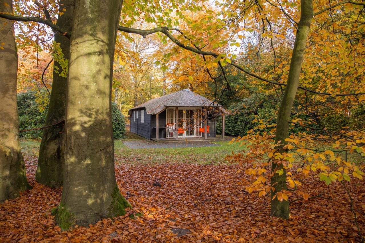Molecaten Park De Leemkule Hattem Kültér fotó
